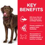 Hill'S Science Plan Healthy Mobility Large Breed Adult Dog Food With Chicken (14Kg) - Image 2