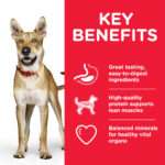 Hill'S Science Plan Performance Adult Dog Food With Chicken (14Kg) - Image 2