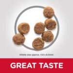 Hill’s Science Plan Small & Mini Puppy Dog Food with Lamb & Rice - Image 2