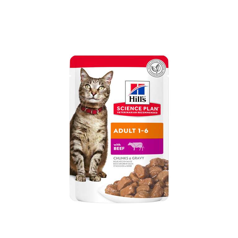 607076 Hill’s Science Plan Adult Wet Cat Food Beef Pouches