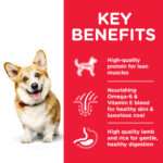 Hill’s Science Plan Small and Mini Adult Dog Food - Image 2