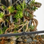 Exo Terra Advanced Paludarium & Rainforest Terrarium - Image 4