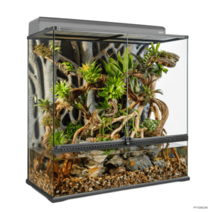 Exo Terra Advanced Paludarium & Rainforest Terrarium