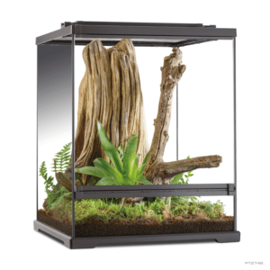 Exo Terra Dart Frog Terrarium Amphibian Habitat