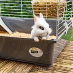 Ferplast Rabbit 100 Cage For Rabbits And Guinea Pigs
95 X 57 X H 46 Cm - Image 4