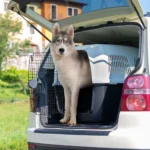 Ferplast Clipper Cat And Small Dog Carrier(IATA Approved) - Image 8