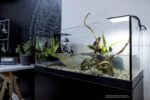 Aquael Aquaterrarium 80 - Image 2