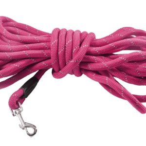 Leash 10M Walk - fuchsia pink