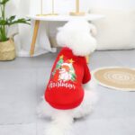 Seasopet X-mas Dress - Image 2