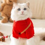 Seasopet Cute Christmas Dress - Image 2