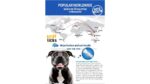 Gnawlers 3" Defense For Dogs  7pcs/pack (105g) - Image 3