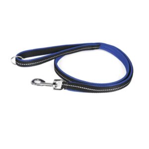 POWAIR leash-Carabiner - blue-small