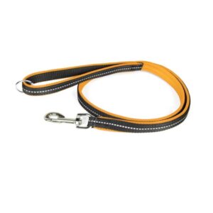 POWAIR leash-Carabiner - orange-large