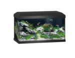 Primo 60 Led 2.0 Black