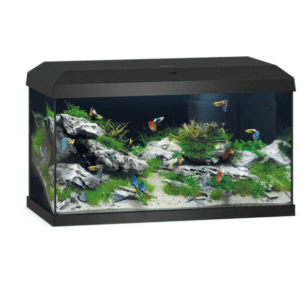 Primo 60 Led 2.0 Black