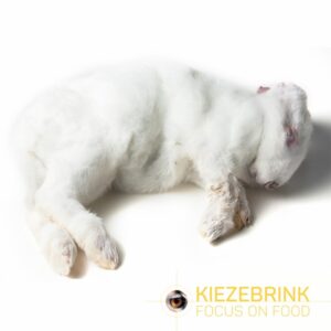 Small Frozen Rabbits 8 Pcs (8-9 Kg Box)