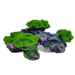 Karis Aqua Decoration - Image 18