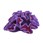 Karis Aqua Decoration - Image 2