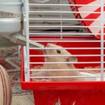 Ferplast Coney Island Hamster Cage With Large Wheel And Play Area
50 X 35 X H 25 Cm - Image 3