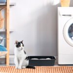 Ferplast Litter Tray Nip10 Black 46.5X35.5X11.5Cm - Image 2