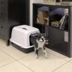 Ferplast Toilet Clear Cat 10 36x47x35cm - Image 6