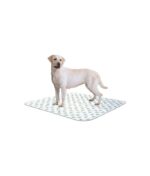 Poochpad Poochpants Reusable Diaper - Image 2