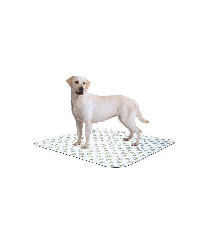 794219484811 Pooch Pad Traditional Poochpad – XXL – 48 X 48″ – Beige – 122 x 122cm - Image 1