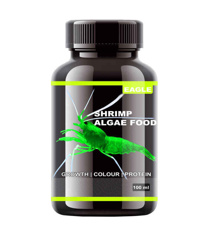 8904218172165 Horizone Eagle Shrimp Algae Food - 100Ml - Image 1