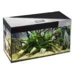 Aquael Aquarium Glossy - Image 2