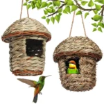 VanPet House for Small & Medium Birds - Image 5