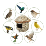 VanPet House for Small & Medium Birds - Image 2