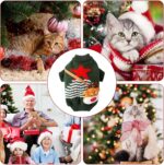 Seasopet Cute Christmas Outfit - Image 2