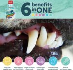 Synergy Labs Dental Fresh Original Formula- Dog & Cat - Image 4