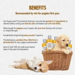 Synergy Labs Veterinary Formula Solutions Puppy Love Extra Gentle & Tearless Shampoo 17Oz - 503Ml - Image 2