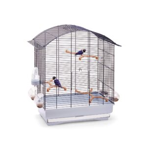 Imac Agata Cage  58X33X62,5Cm For Canaries, Parakeets And Exotic Birds- Blue/Ghiaccio