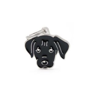 MY FAMILY BLACK LABRADOR