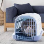 Pado Pet Carrier - Image 2