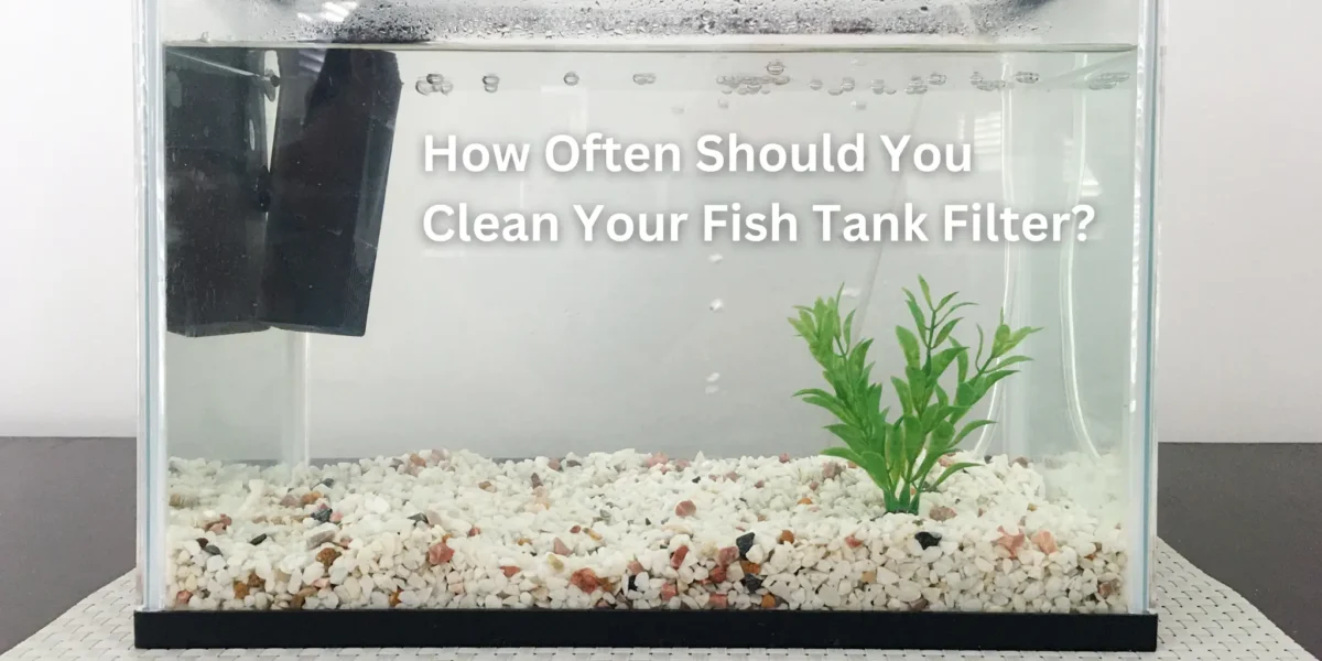 fish tank filter