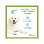 Whimzees Puppy Stix - Image 2