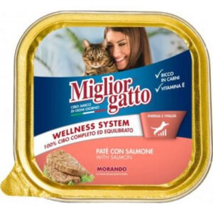 Miglior Pate With Salmon Cat Food - 100G - Pack Of 12