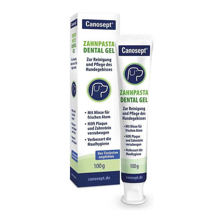 Dental-Gel-1.png Canosept Dental Care Toothpaste (100G) - Image 1