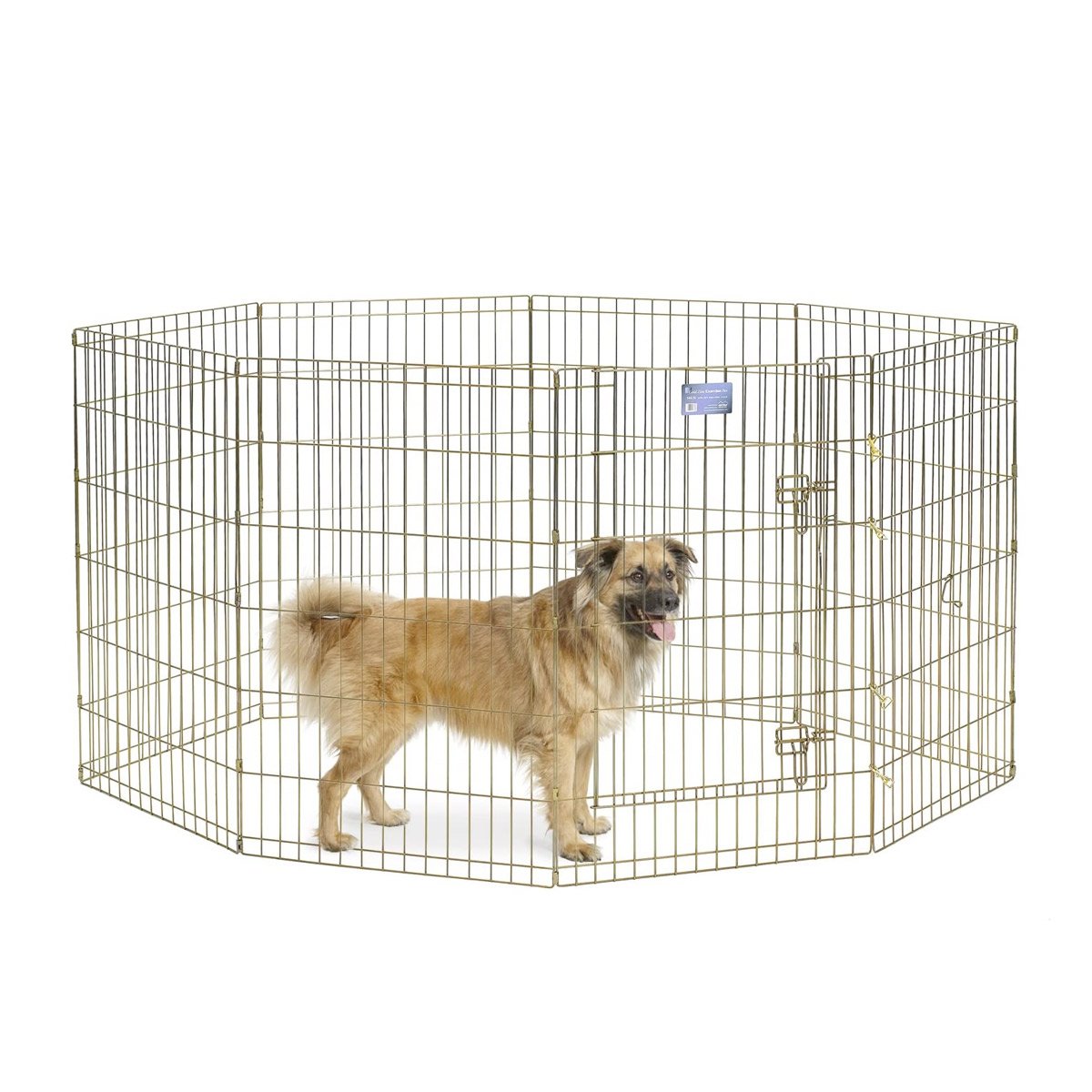 Exercise-Pen-Gold-Zinc-36.jpg MidWest Foldable Exercise Pen With Door- Gold Zinc - 36 inch - Image 1
