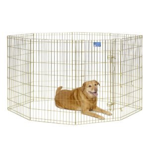 MidWest Foldable Exercise Pen With Door- Gold Zinc - 42 inch