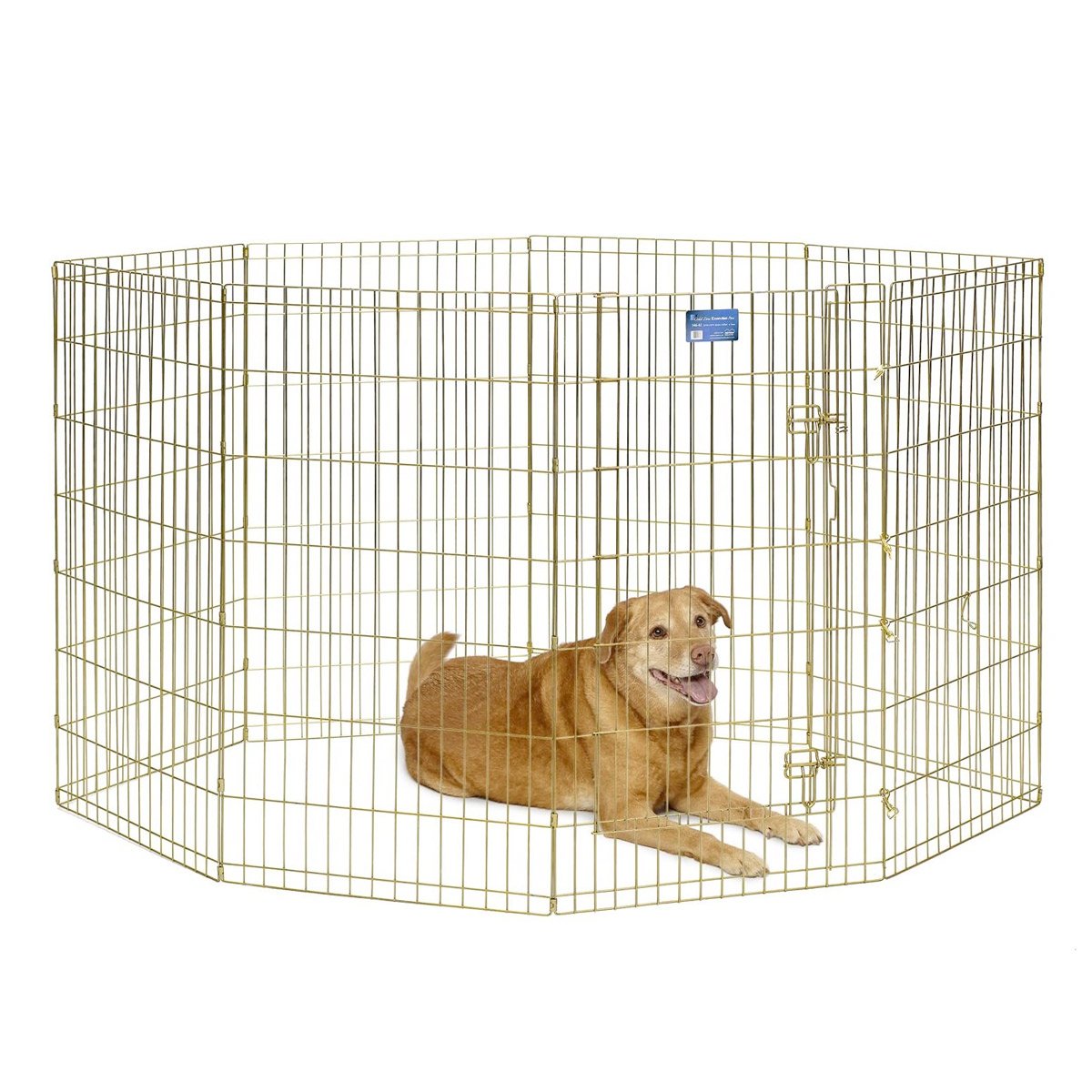 Exercise-Pen-Gold-Zinc-42.jpg MidWest Foldable Exercise Pen With Door- Gold Zinc - 42 inch - Image 1