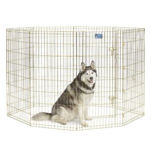 MidWest Foldable Exercise Pen With Door- Gold Zinc - 48 inch