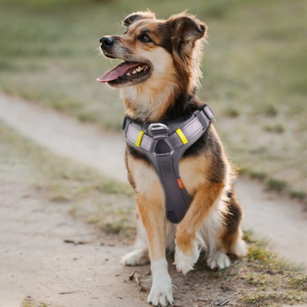 Fida Dog Harness â€“ Yellow