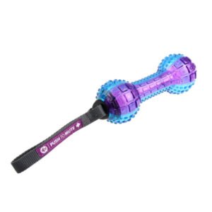 Gigwi Dumbell Push To Mute Transparent  Purple / Blue
