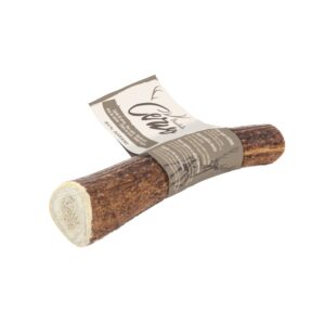 Deer Antler Medium Dog Chew Treat (50-75G)