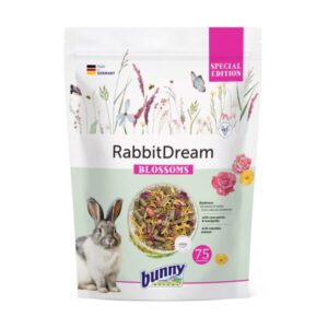 RabbitDream