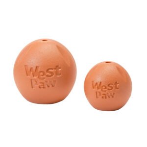 Rando Dog Toy - Melon-Large